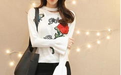 丸子控舞蹈教学视频